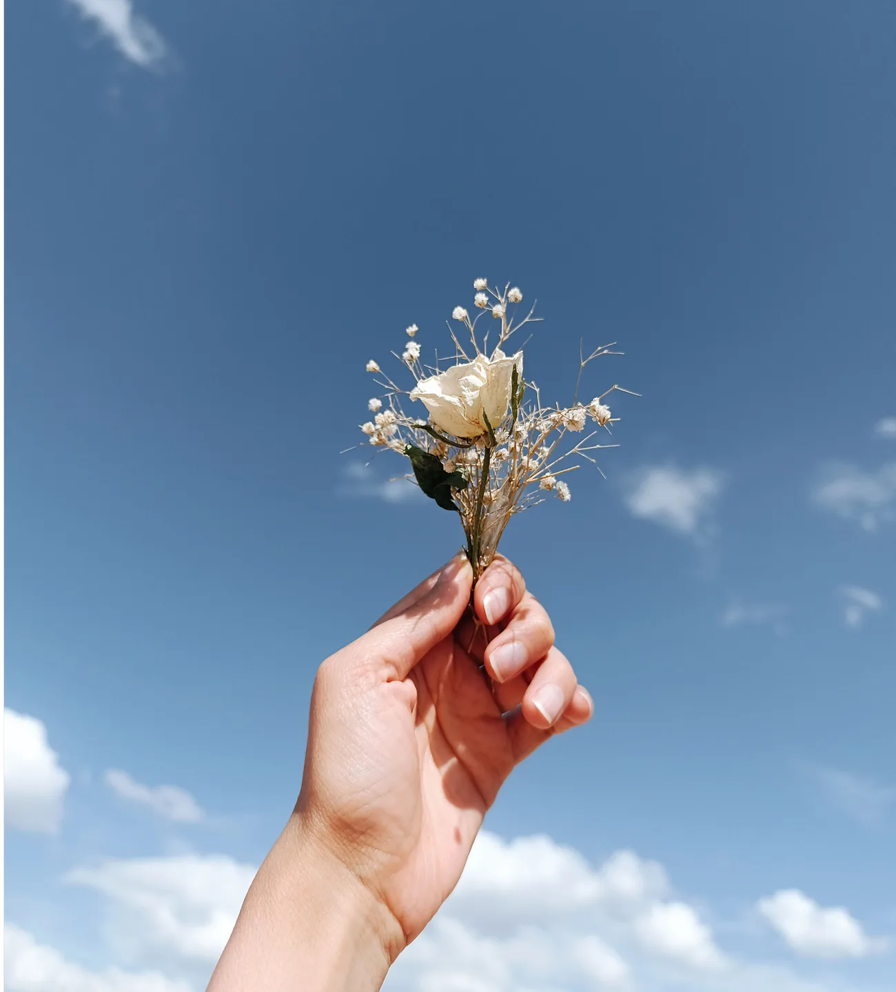 Hand holding a white rose against a blue sky